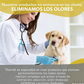 🐾 Concentrado Eliminador de Olores de Mascotas – 242 L de Solución, Eliminación Molecular y Aroma a Albaricoque 🌸🍑
