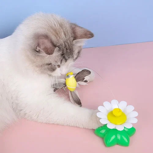 Promoción del festival💝Juguete interactivo para gatos