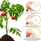 Clips de Plástico para Soporte de Plantas