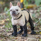 Botas Impermeables Para Mascotas