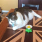 Promoción del festival💝Juguete interactivo para gatos