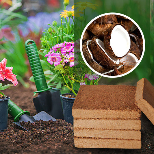 🔥Fibra de coco ecológica para plantas