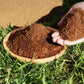 🔥Fibra de coco ecológica para plantas