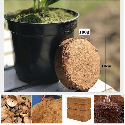 🔥Fibra de coco ecológica para plantas
