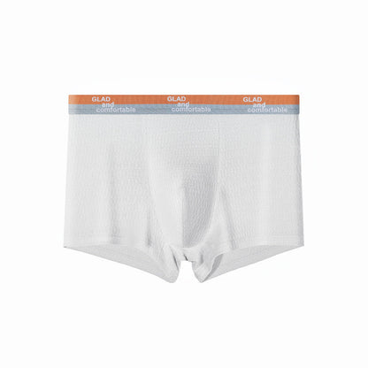 Ropa interior masculina de algodón de alta calidad 🔥antibacteriana, transpirable, absorbente de humedad🔥