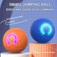 🎁Pelota interactiva Smart Pet Bounce🐶