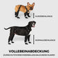 Botas Impermeables Para Mascotas
