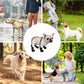 Botas Impermeables Para Mascotas