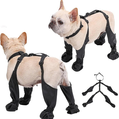 Botas Impermeables Para Mascotas