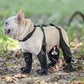 Botas Impermeables Para Mascotas