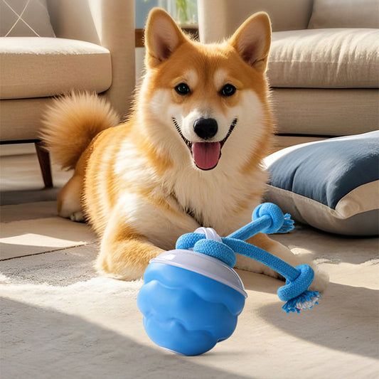 Pelota de juguete calmante electrónica interactiva para mascotas