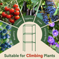✨ Adjustable Modular Plant Support Frame—Provides Sturdy Support for Thriving Climbing Plants! ✨